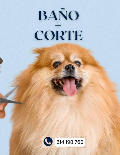 baño automático para perros - autolavado de perros - LavaKan Alcorcón - peluquería 2