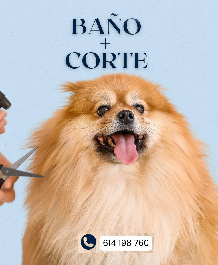 lavakan alcorcon baño corte spa ozonoterapia f