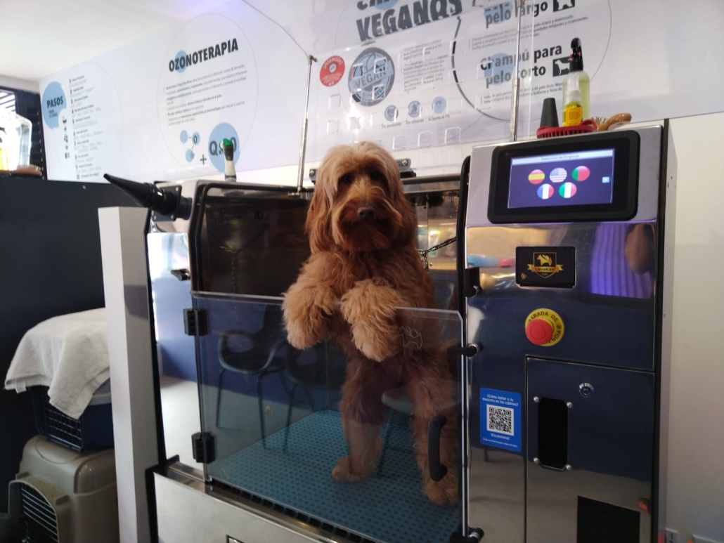 Cabina de autolavado para perros en Lavakan Alcorcón